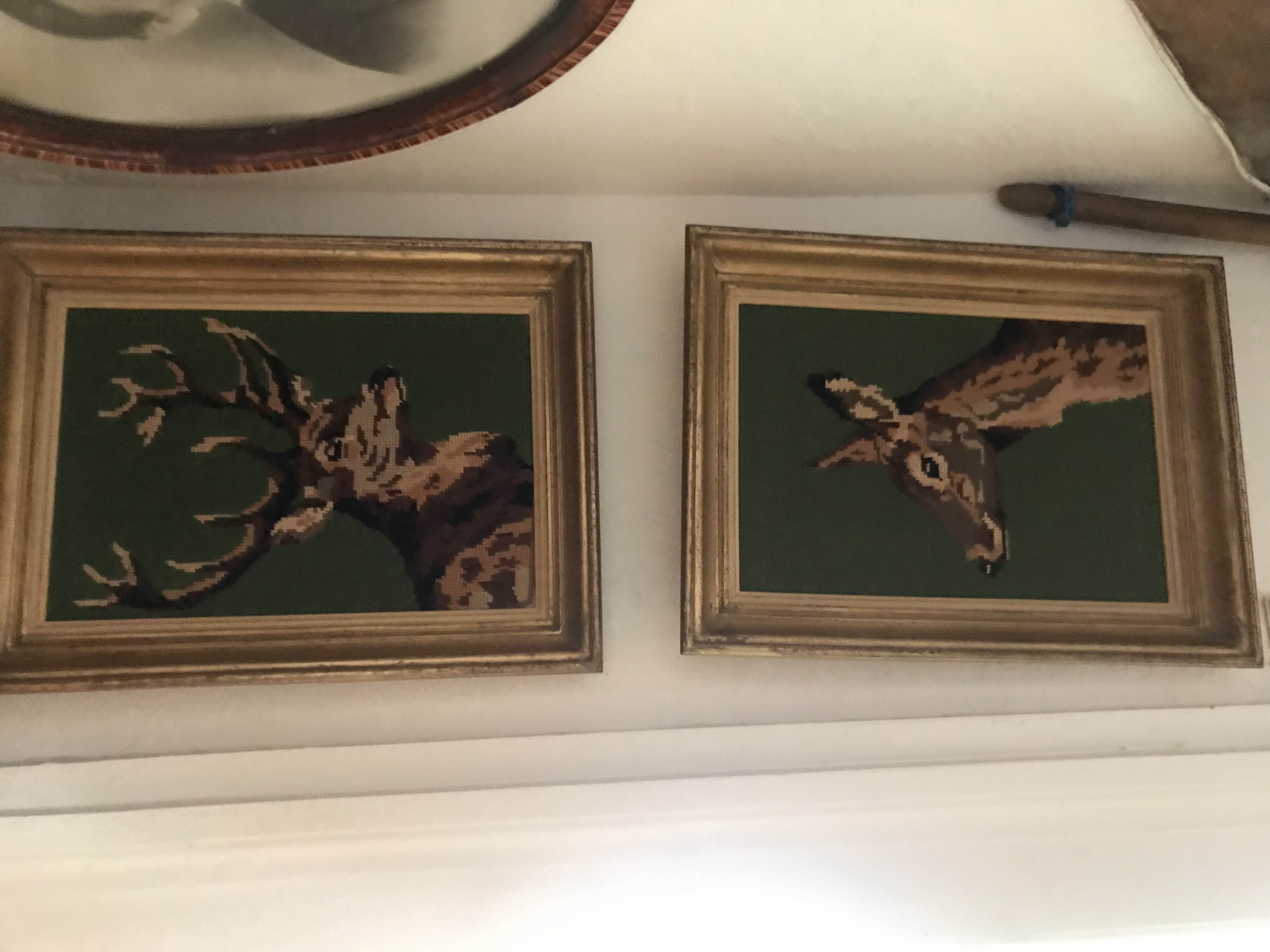 2023-08-16 11.39.39.jpg